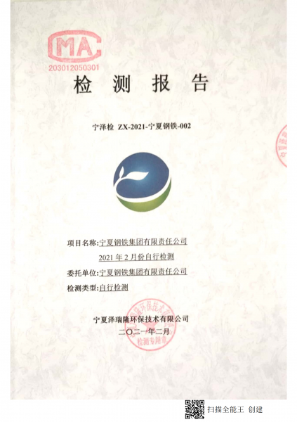 2021年2月自行檢測(cè)報(bào)告